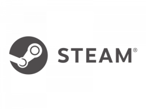 Steam Version