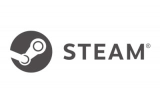 Steam Version